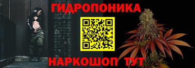 сатива Кунгур