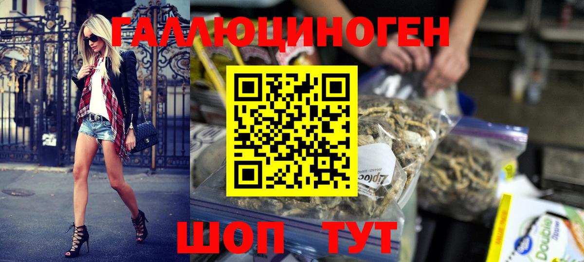 Галлюциногенные грибы GOLDEN TEACHER  купить наркотики цена  Зерноград  Вход с VPN 